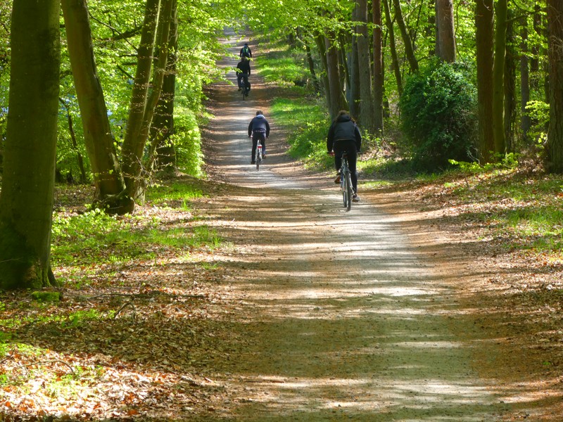Wandern oder Rad fahren – beides ein Genuss auf Usedom